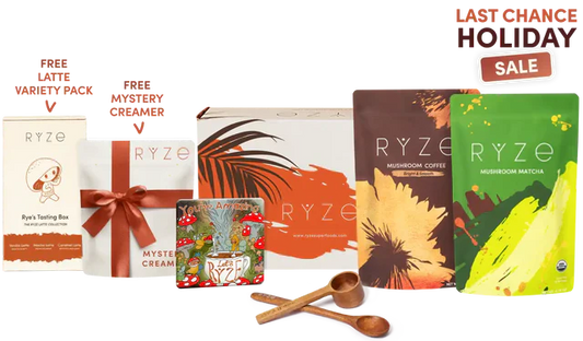 All Day Energy Bundle | Fern