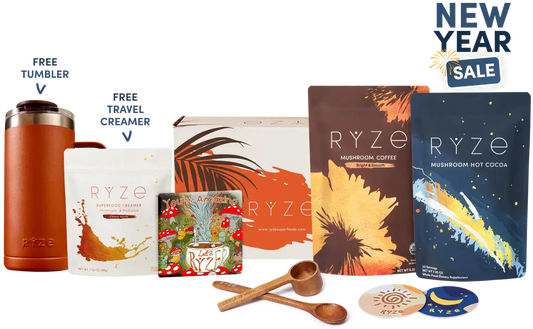 Day + Night Bundle | Elm